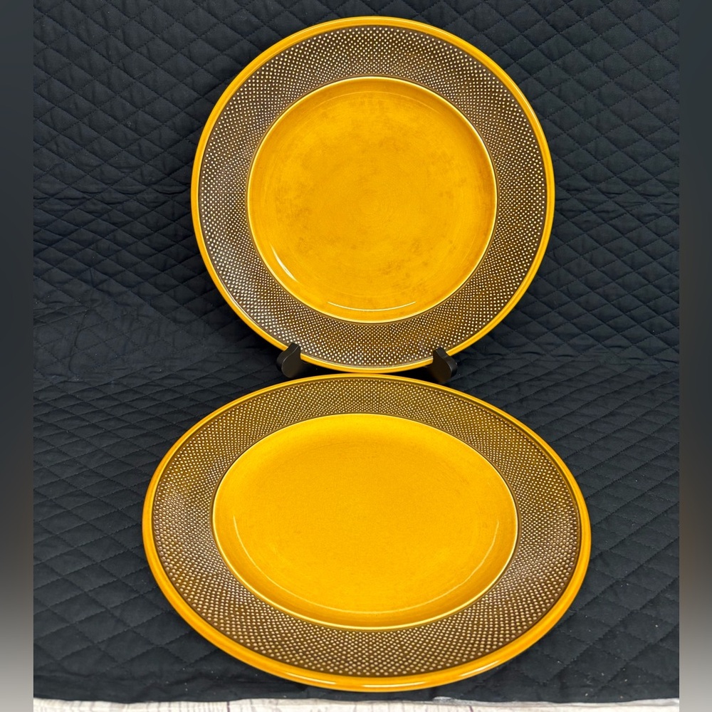 2 Harmony House Aurora Ironstone 4267 Yellow Brown Dinner Plates Japan vintage